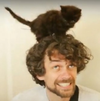 kittens
